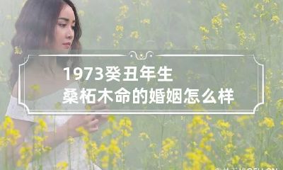1973癸丑年生桑柘木命的婚姻怎么样 1973年桑柘木命详解
