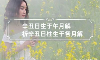 辛丑日生于午月解析 辛丑日柱生于各月解析