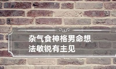 杂气食神格男命 想法敏锐有主见