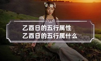 乙酉日的五行属性 乙酉日的五行属什么