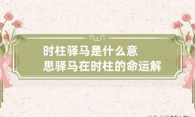 时柱驿马是什么意思 驿马在时柱的命运解读