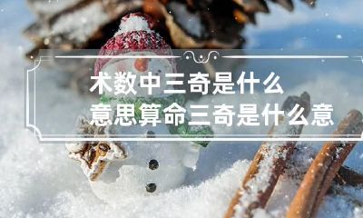 术数中三奇是什么意思 算命三奇是什么意思