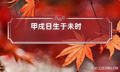 甲戌日生于未时