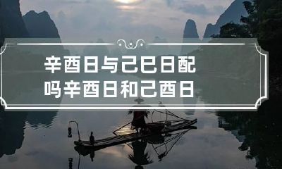 辛酉日与己巳日配吗 辛酉日和己酉日