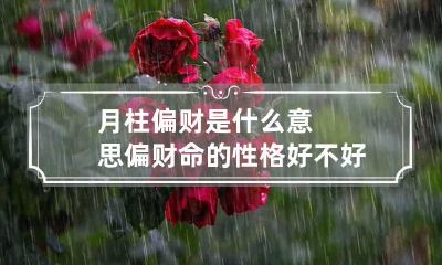 月柱偏财是什么意思 偏财命的性格好不好