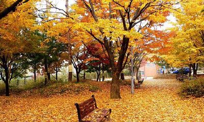 印堂的纹路应该怎么看？如何从印堂纹看吉凶？