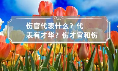 伤官代表什么？代表有才华？ 伤才官和伤官的区别