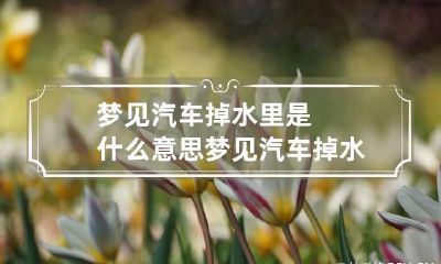 梦见汽车掉水里是什么意思 梦见汽车掉水里了是什么意思