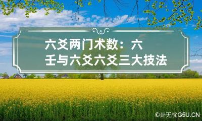 六爻两门术数：六壬与六爻 六爻三大技法