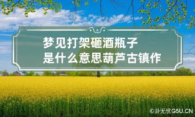 梦见打架砸酒瓶子是什么意思 葫芦古镇作文
