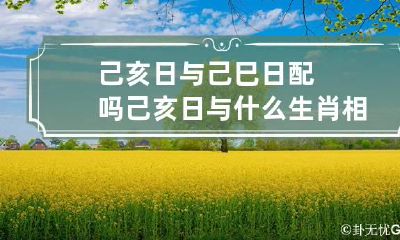 己亥日与己巳日配吗 己亥日与什么生肖相冲