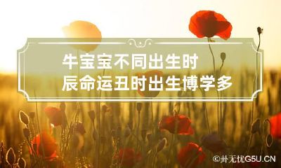 牛宝宝不同出生时辰命运 丑时出生博学多才