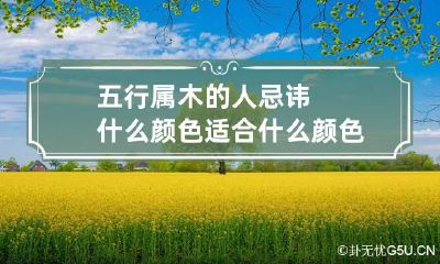 五行属木的人忌讳什么颜色 适合什么颜色