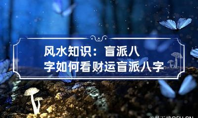 风水知识：盲派八字如何看财运 盲派八字看财运实例
