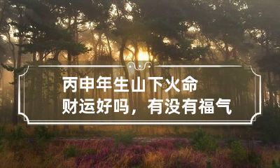 丙申年生山下火命财运好吗，有没有福气