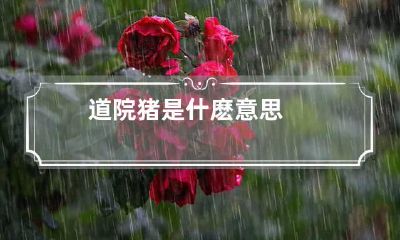 道院猪是什麽意思