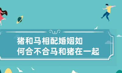 猪和马相配婚姻如何合不合 马和猪在一起对谁不利
