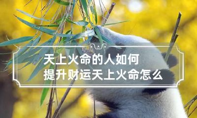 天上火命的人如何提升财运 天上火命怎么样财运好不好