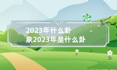 2023年什么卦象 2023年是什么卦
