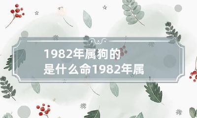1982年属狗的是什么命 1982年属狗的是什么命几月份好