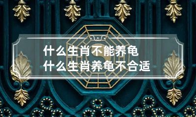什么生肖不能养龟 什么生肖养龟不合适