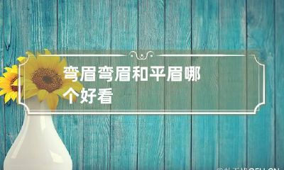 弯眉 弯眉和平眉哪个好看