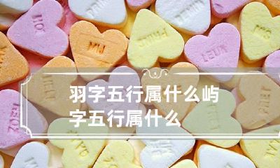 羽字五行属什么 屿字五行属什么