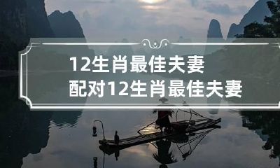 12生肖最佳夫妻配对 12生肖最佳夫妻配对猪