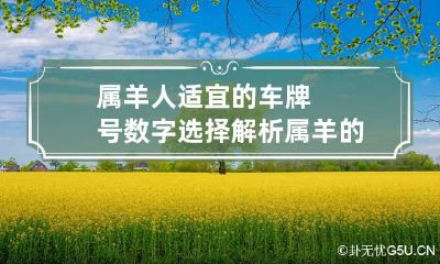 属羊人适宜的车牌号数字选择解析 属羊的人汽车牌照吉祥数