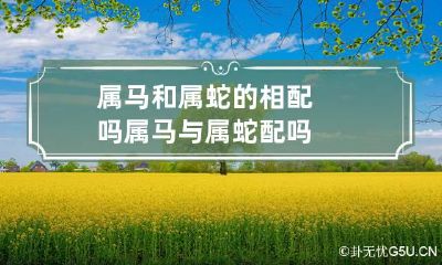 属马和属蛇的相配吗 属马与属蛇配吗