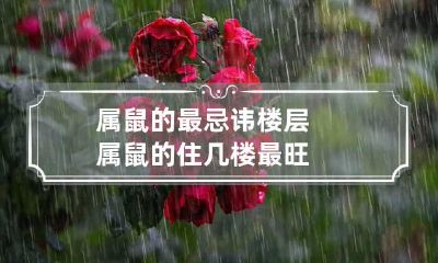 属鼠的最忌讳楼层 属鼠的住几楼最旺