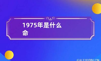 1975年是什么命