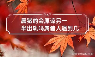 属猪的会原谅另一半出轨吗 属猪人遇到几次真爱