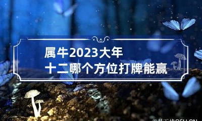 属牛2023大年十二哪个方位打牌能赢钱