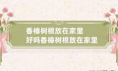 香樟树根放在家里好吗 香樟树根放在家里好吗有毒吗