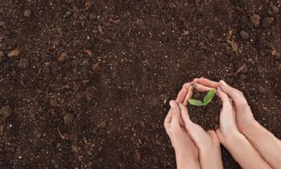 哪些面相的男人容易遇恶妻呢