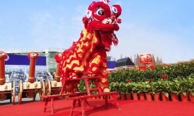 狮鼻、狮头鼻、狮子鼻代表什么