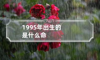 1995年出生的是什么命