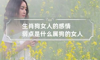 生肖狗女人的感情弱点是什么 属狗的女人爱情