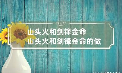 山头火和剑锋金命 山头火和剑锋金命的做夫妻好吗