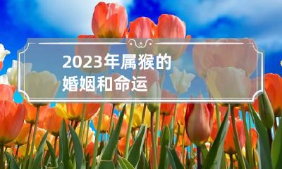 2023年属猴的婚姻和命运
