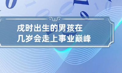 戌时出生的男孩在几岁会走上事业巅峰