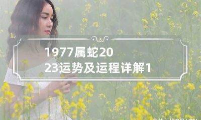 1977属蛇2023运势及运程详解 1977年属蛇人2023年运势每月运势