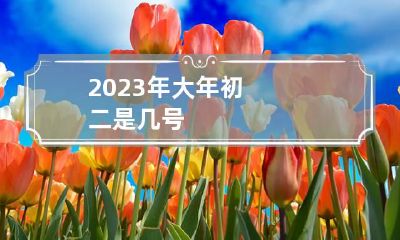 2023年大年初二是几号