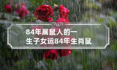84年属鼠人的一生子女运 84年生肖鼠子女运