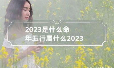 2023是什么命年五行属什么 2023是什么命年五行属什么行业