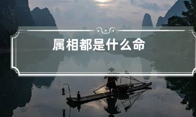 属相都是什么命
