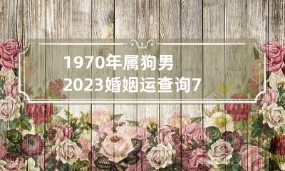 1970年属狗男2023婚姻运查询 70年属狗2023年运势怎么样