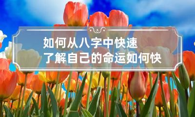 如何从八字中快速了解自己的命运 如何快速看懂八字