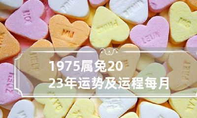 1975属兔2023年运势及运程每月运程 1975属兔2023年运势及运程每月运程男